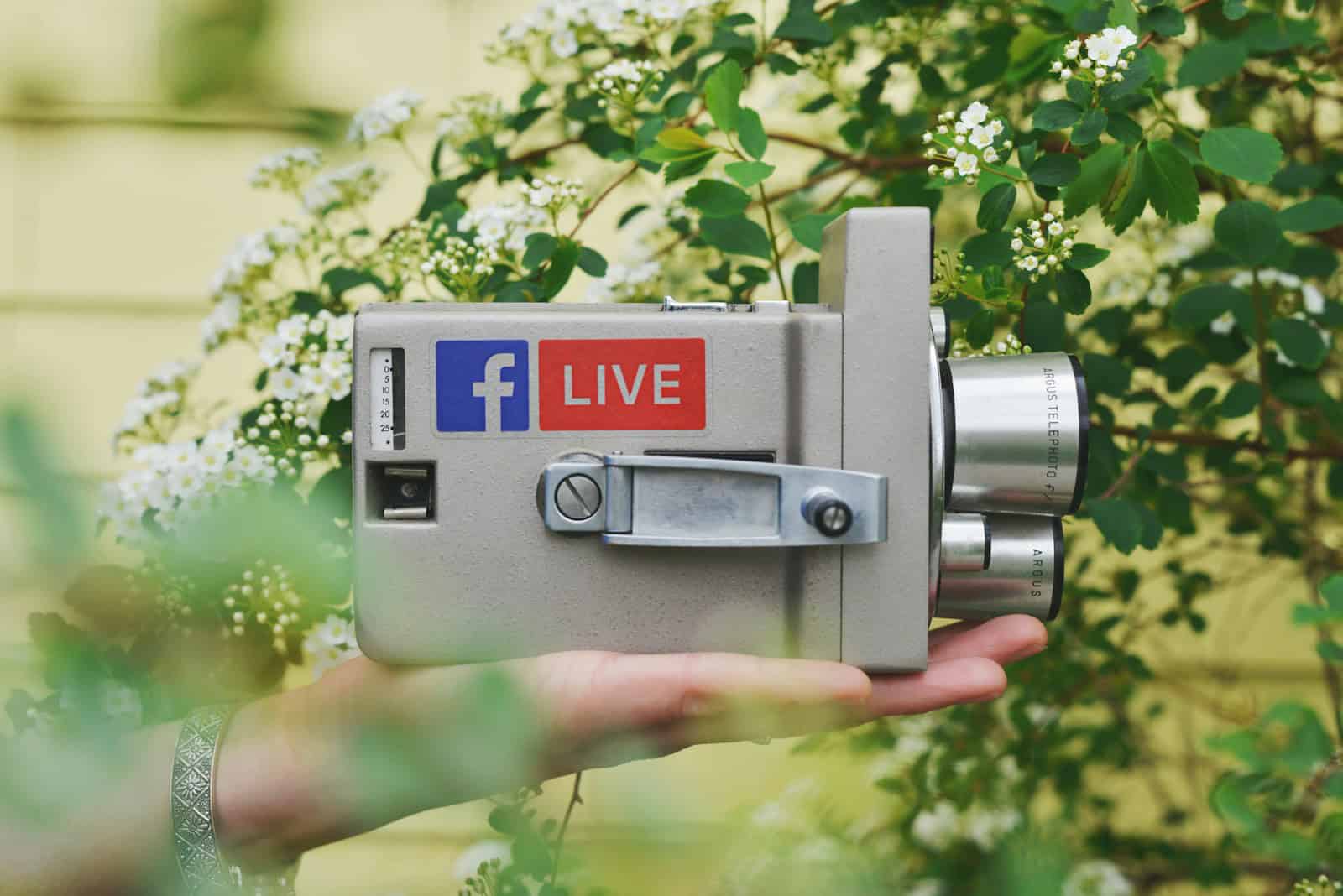 Sentiment analysis, person holding gray video camera near green leaf plant during daytime